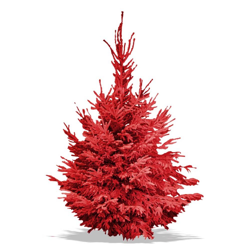 Sapin Nordmann floqué rouge